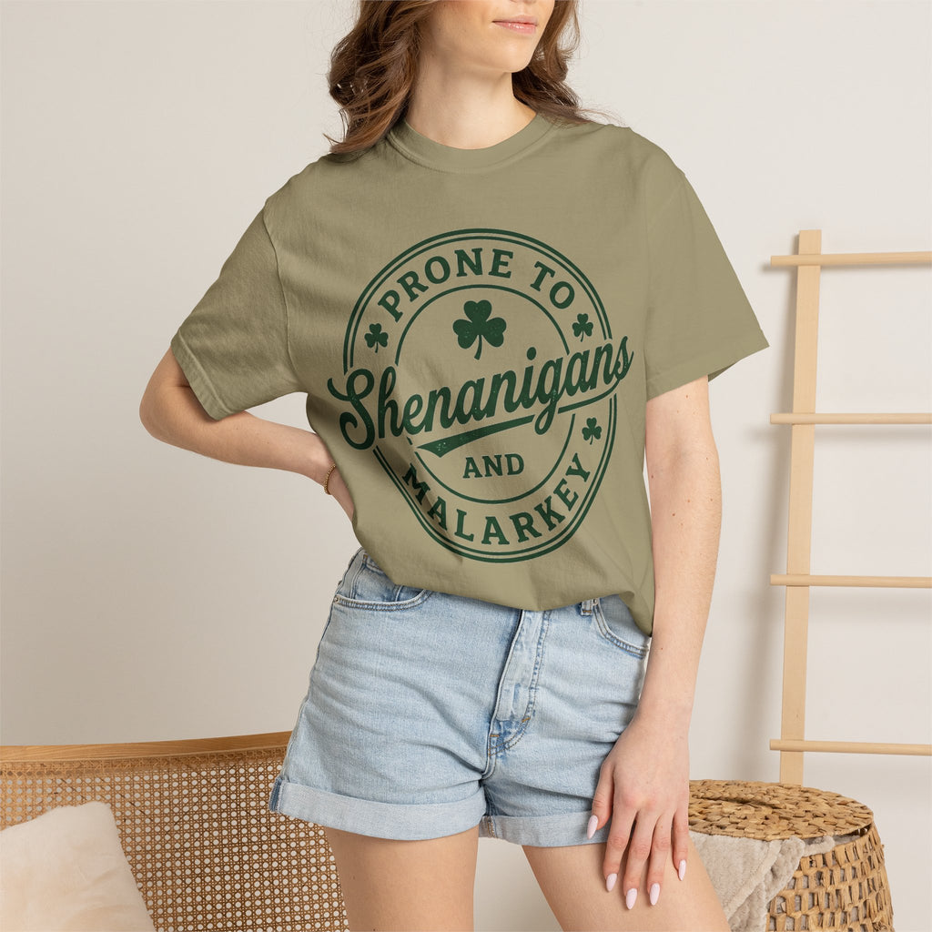 Prone To Shenanigans And Malarkey Shirt, St Patricks Day Badge Tee, Funny Irish Shirt, Paddys Day Gift