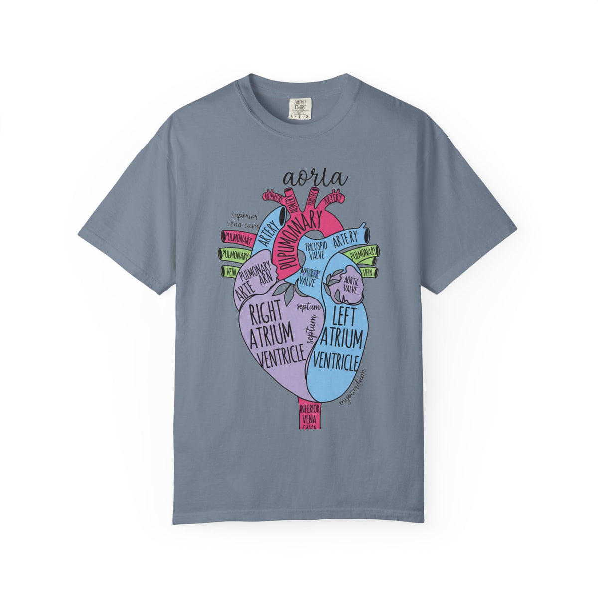 Labelled Heart Anatomy Shirt, Pastel Cardiac Diagram Tee, Nursing School Shirt, Cardiology Gift