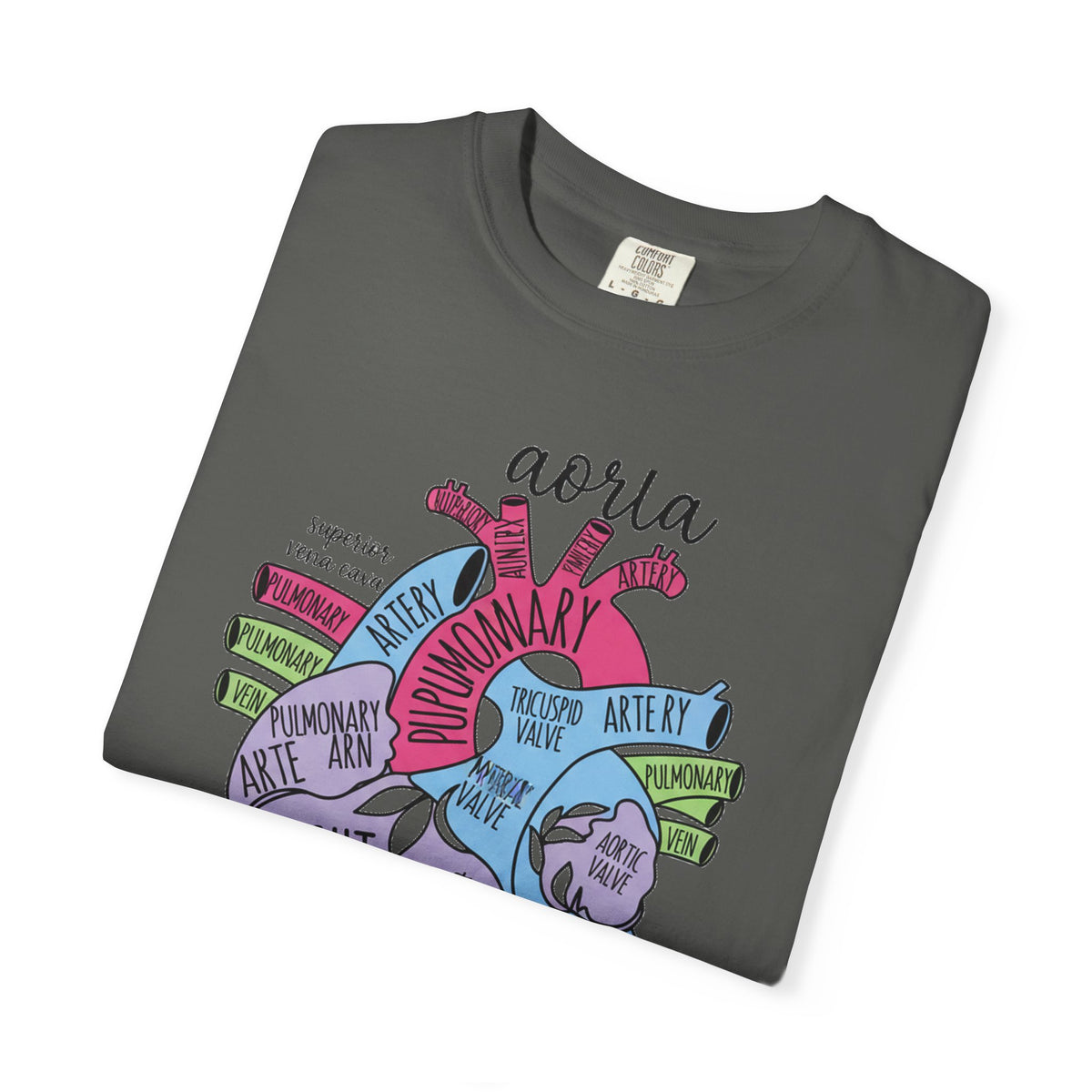 Labelled Heart Anatomy Shirt, Pastel Cardiac Diagram Tee, Nursing School Shirt, Cardiology Gift