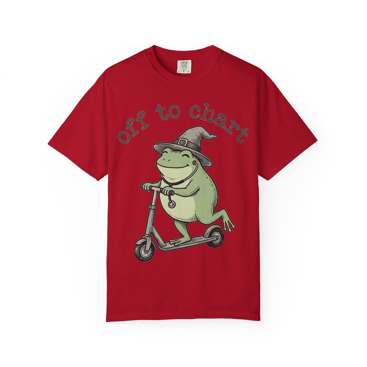 Off To Chart Shirt, Funny Witch Frog Nurse Tee, Charting Nurse Scooter Shirt, RN Gift