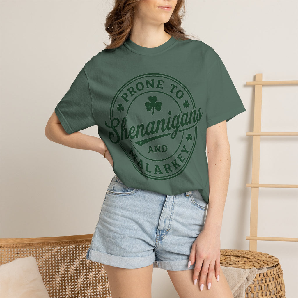 Prone To Shenanigans And Malarkey Shirt, St Patricks Day Badge Tee, Funny Irish Shirt, Paddys Day Gift