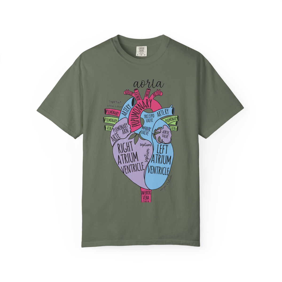 Labelled Heart Anatomy Shirt, Pastel Cardiac Diagram Tee, Nursing School Shirt, Cardiology Gift