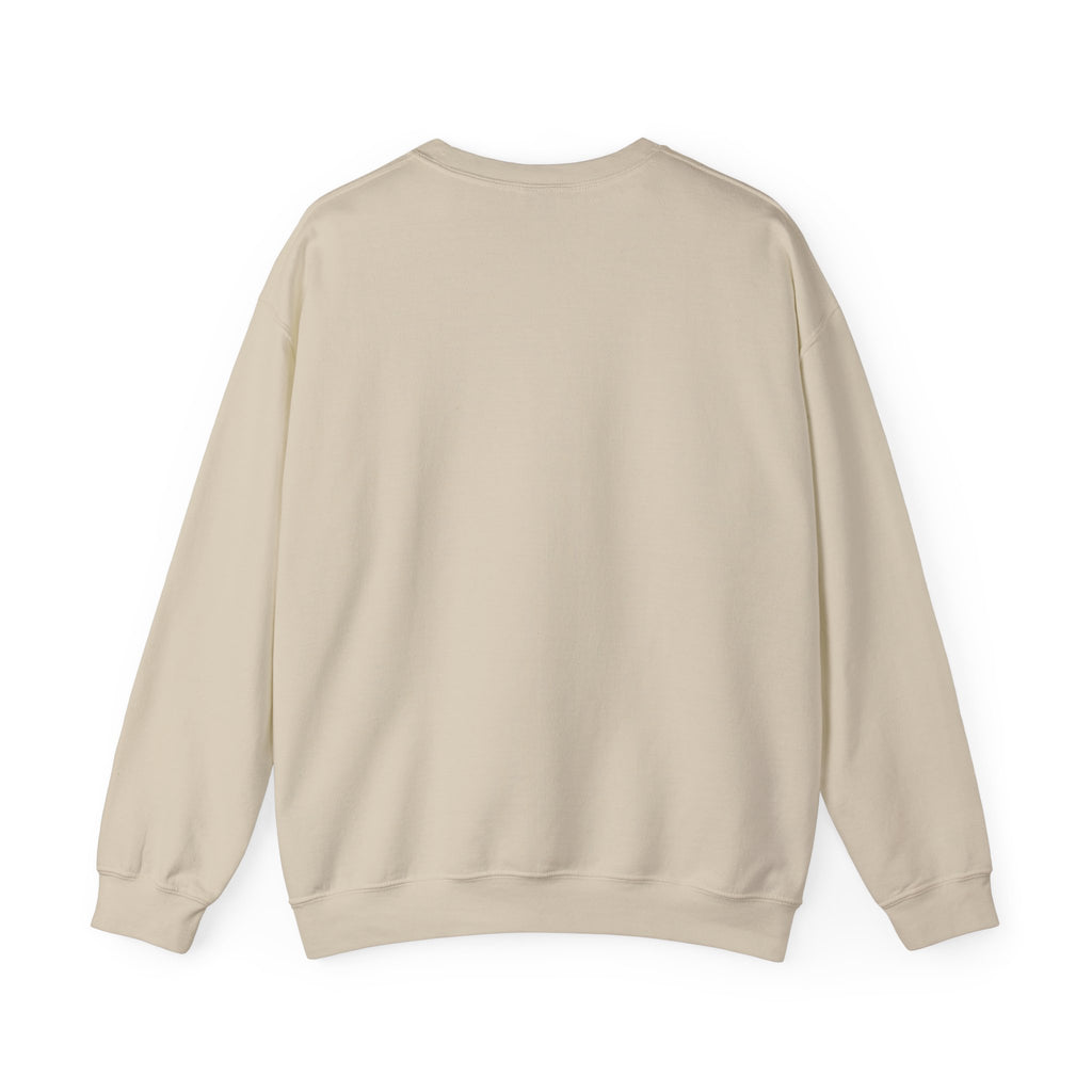 Funny Retirement Sweatshirt I Named All The Squirrels Retired Gift Comfort Colors Tee for Men and Women