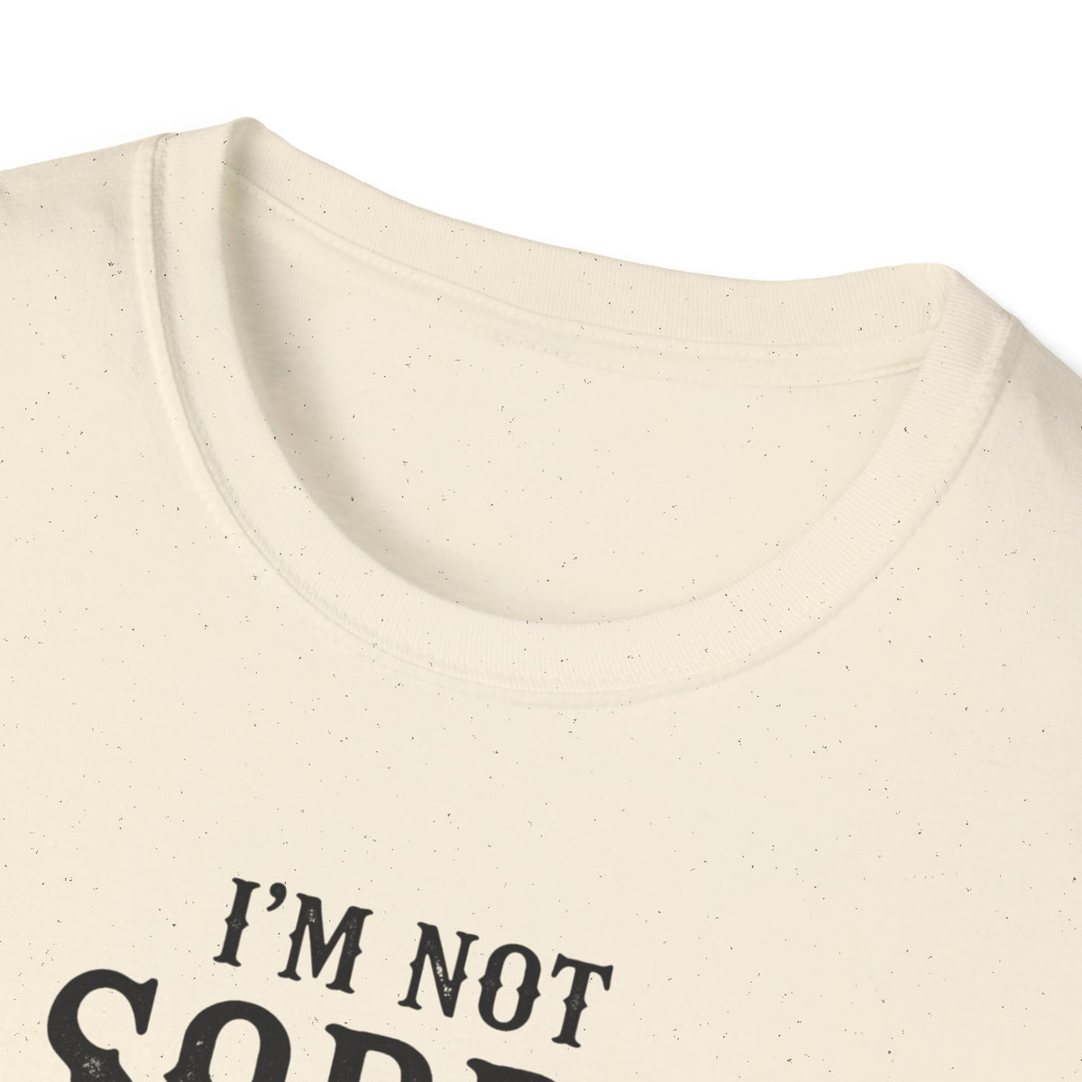 I’m Not Sorry Goose T-Shirt — Funny Unapologetic Bird Graphic Tee