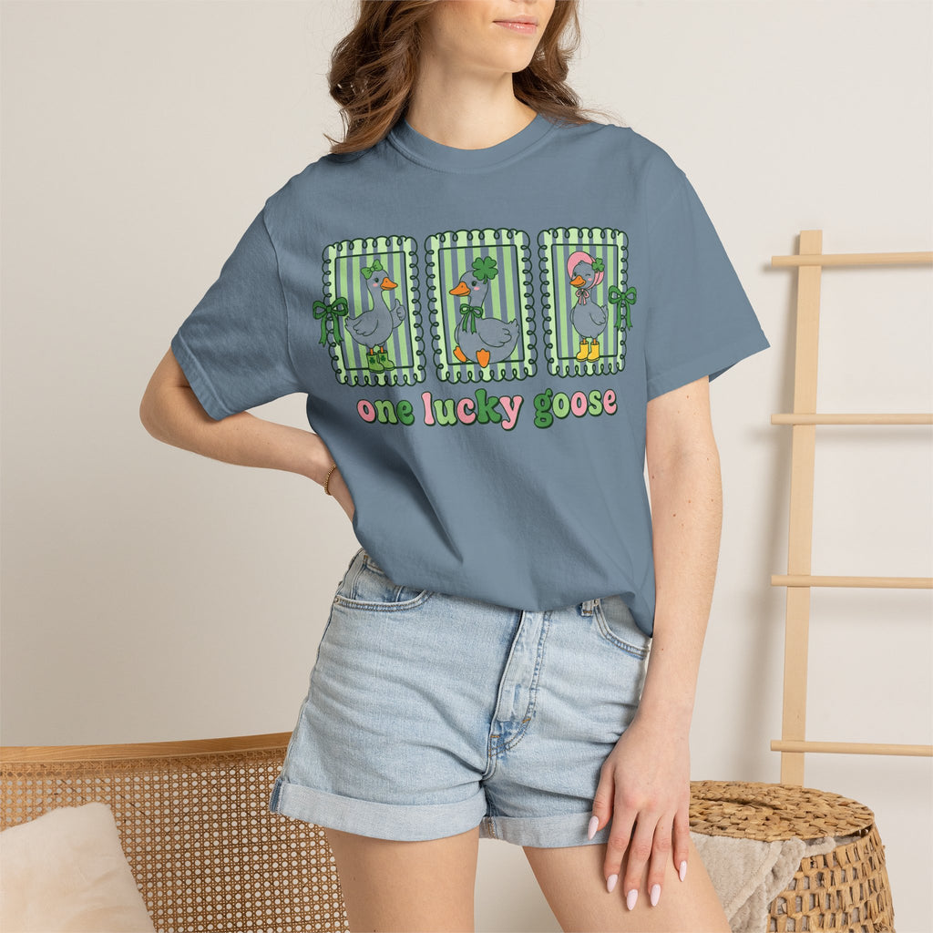 One Lucky Goose Framed Panels Shirt, Irish Goose Trio Tee, St Patricks Day Shirt, Funny Gift