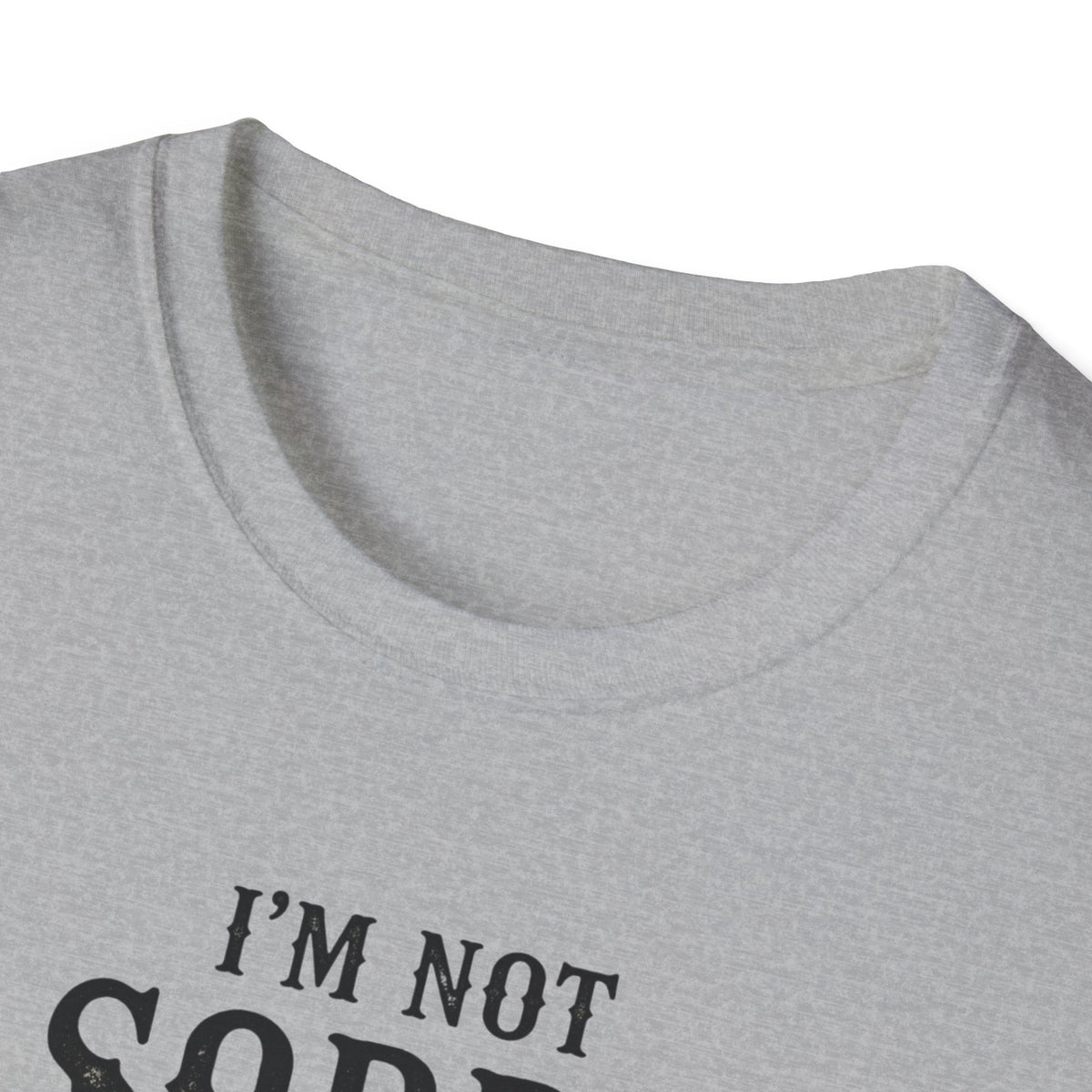I’m Not Sorry Goose T-Shirt — Funny Unapologetic Bird Graphic Tee