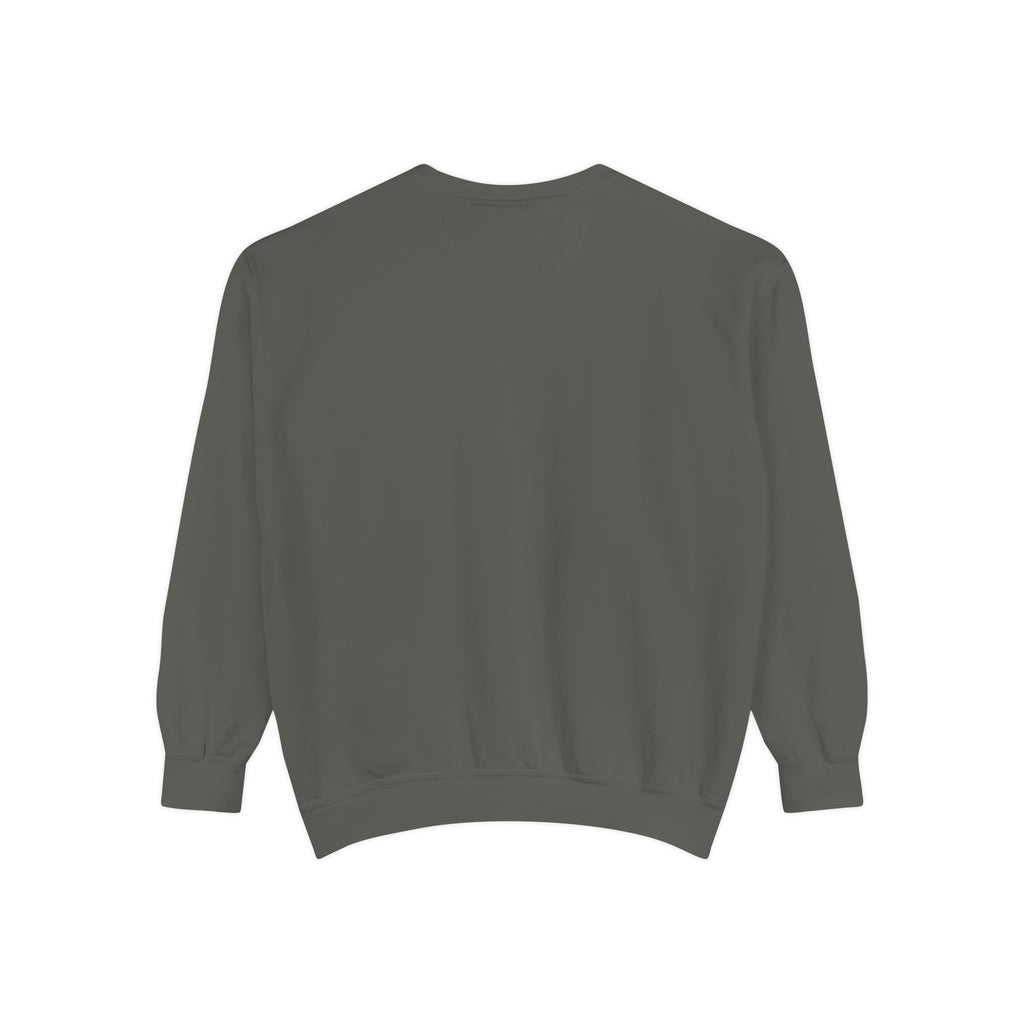 Sorry I Can't My Cat Said No Sweatshirt — Funny Cat Lover Pullover
