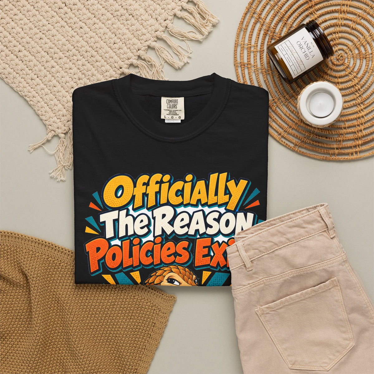Funny Coworker Shirt Officially The Reason Policies Exist Shirt, Funny Coworker Gift, Christmas Gift, Funny Shirt