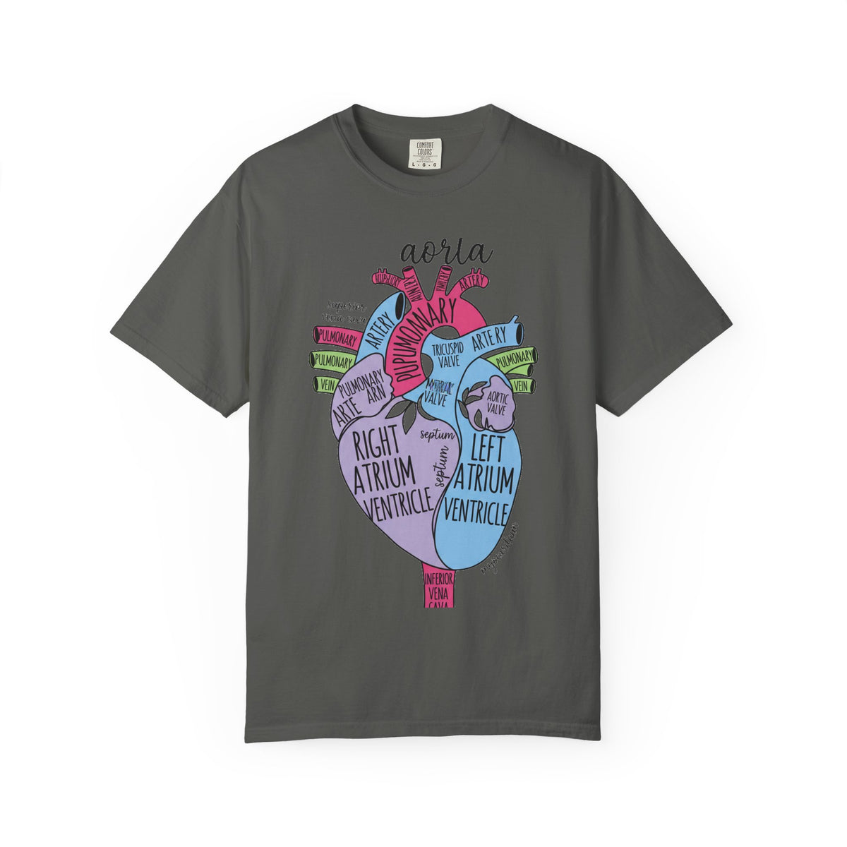 Labelled Heart Anatomy Shirt, Pastel Cardiac Diagram Tee, Nursing School Shirt, Cardiology Gift
