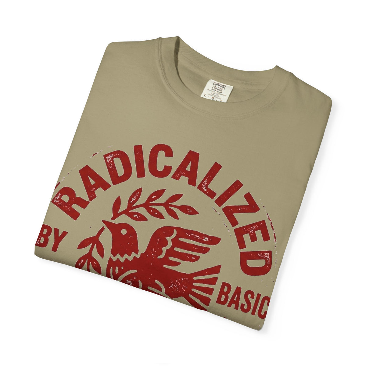 Radicalized By Basic Decency Shirt, Folk Art Dove Stamp Tee, Kindness Activist Shirt, Protest Gift