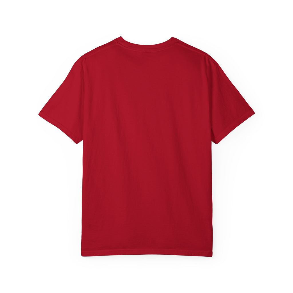 Lucky Shamrock Varsity Shirt, Distressed Green Clover Tee, St Patricks Day Collegiate Shirt, Irish Gift