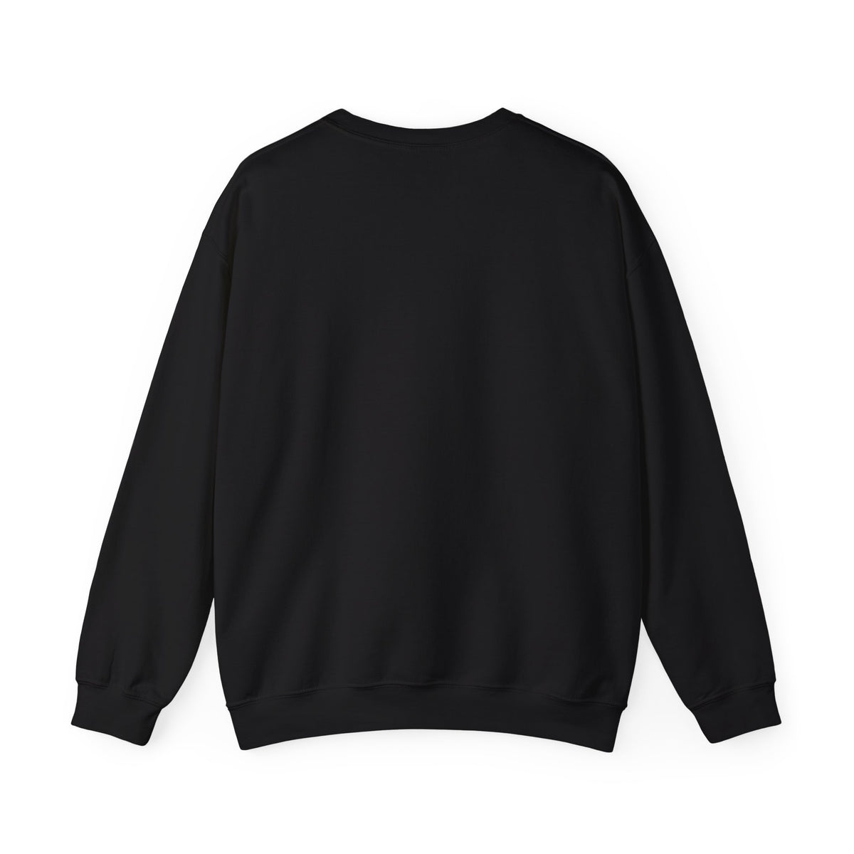 Dinosaurs Didn't Do Math Sweatshirt | Funny Teacher Gift Crewneck