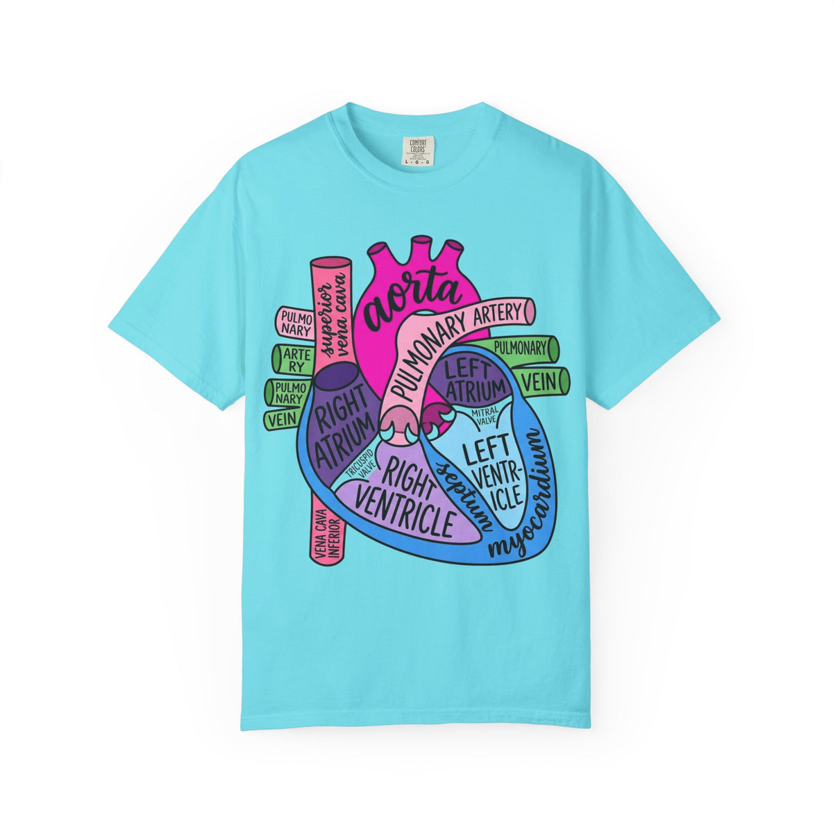Anatomical Heart Diagram Shirt, Labelled Cardiac Anatomy Tee, Cardiology Nurse Shirt, Med Student Gift