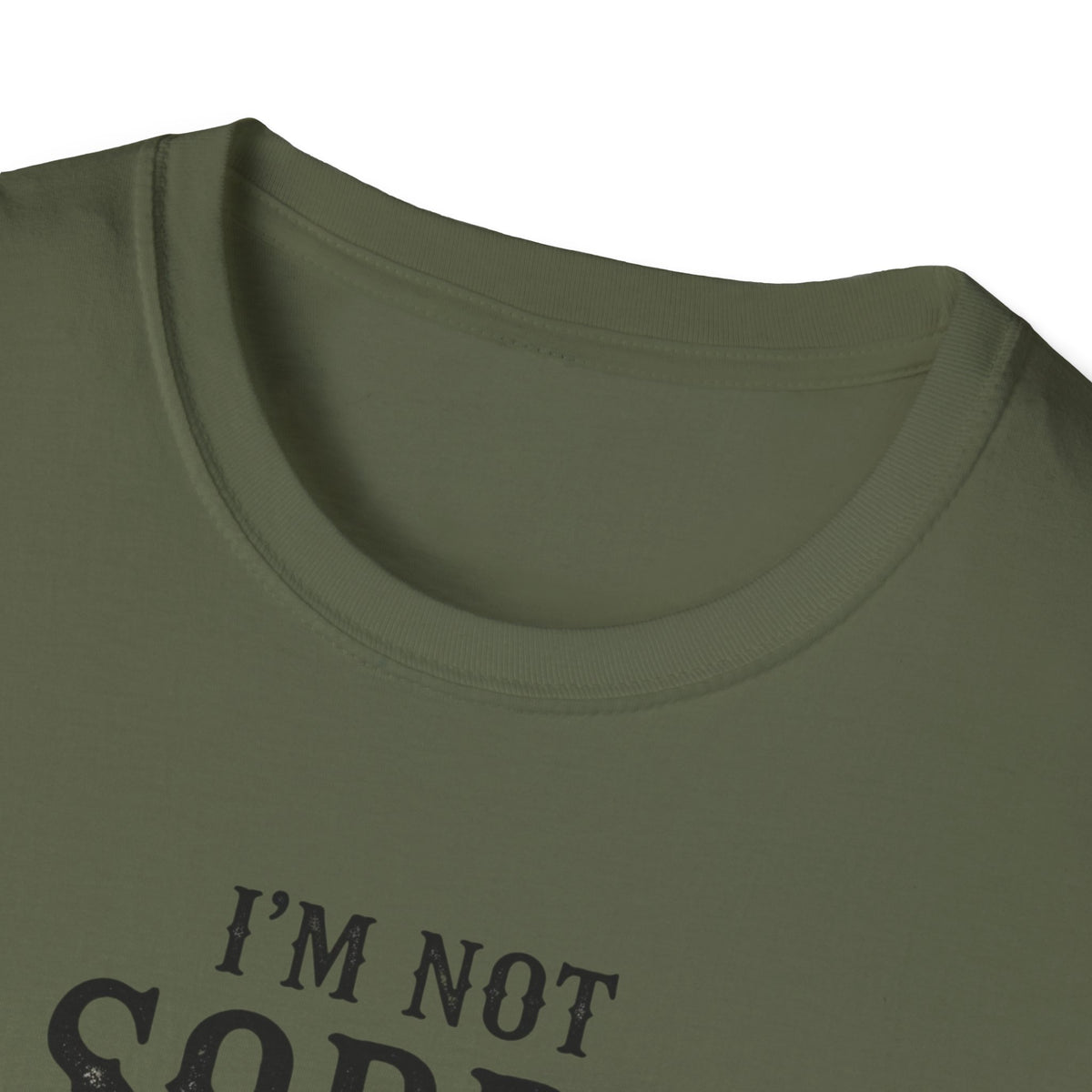 I’m Not Sorry Goose T-Shirt — Funny Unapologetic Bird Graphic Tee