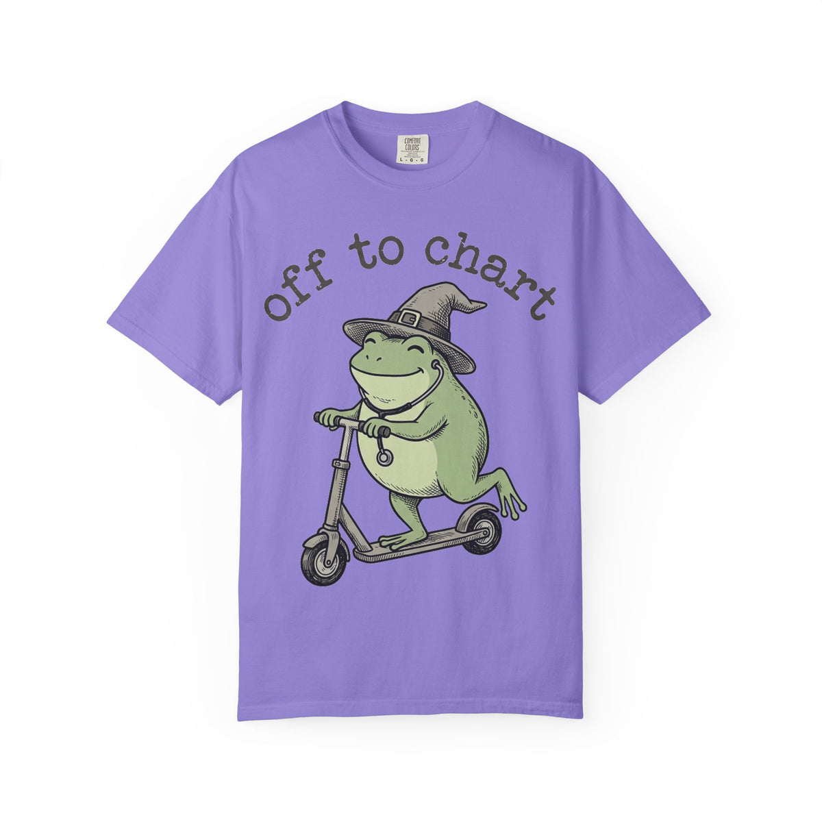 Off To Chart Shirt, Funny Witch Frog Nurse Tee, Charting Nurse Scooter Shirt, RN Gift