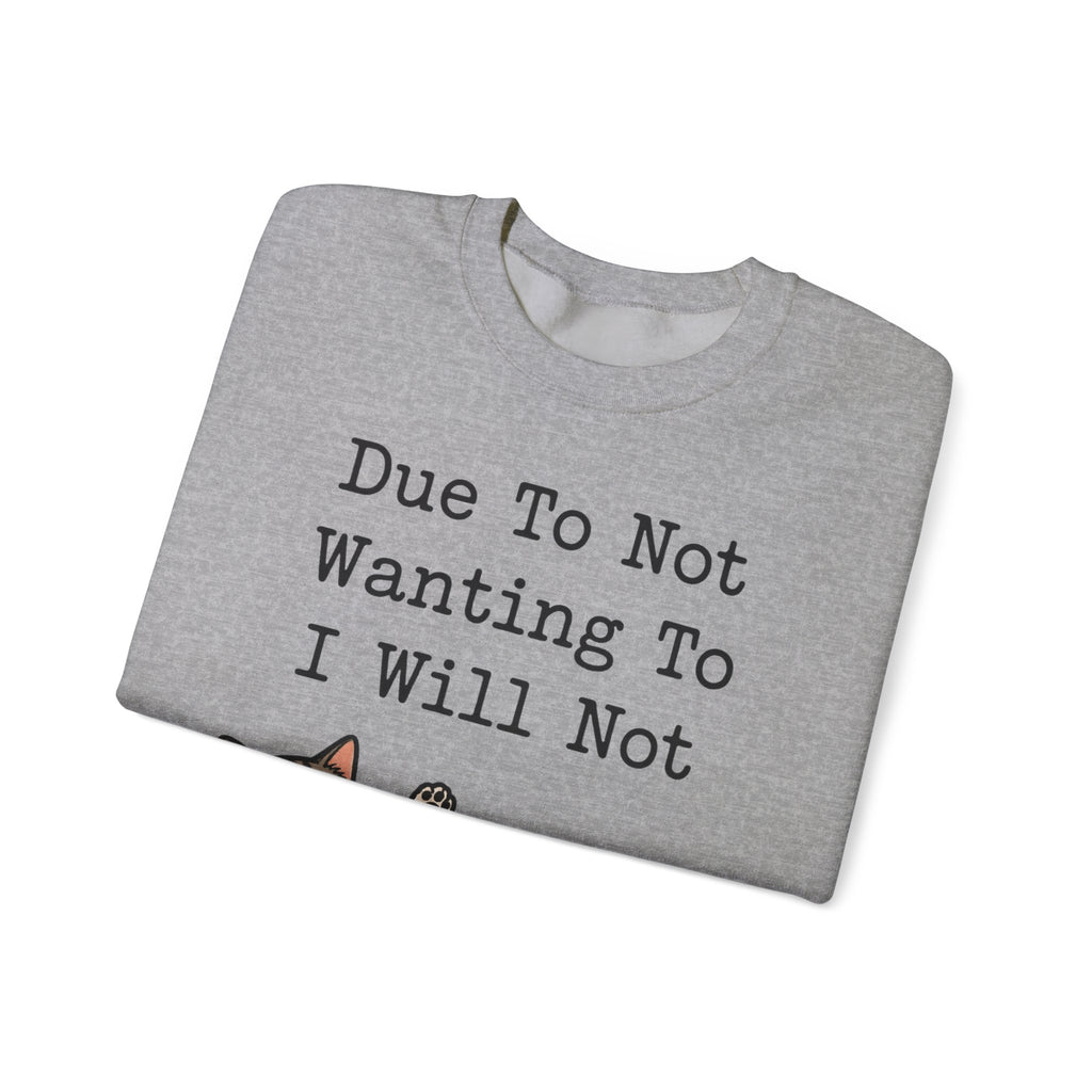 Funny Introvert Sweatshirt Due To Not Wanting To I Will Not | Sarcastic Cat Sweatshirt | Antisocial Sweatshirt | Funny Gift
