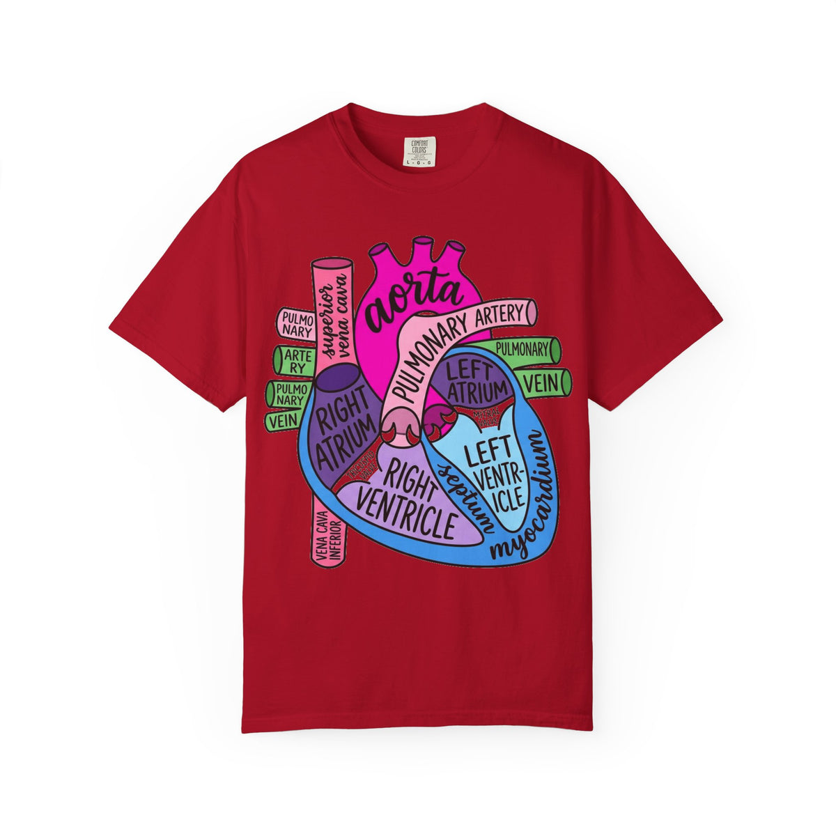Anatomical Heart Diagram Shirt, Labelled Cardiac Anatomy Tee, Cardiology Nurse Shirt, Med Student Gift
