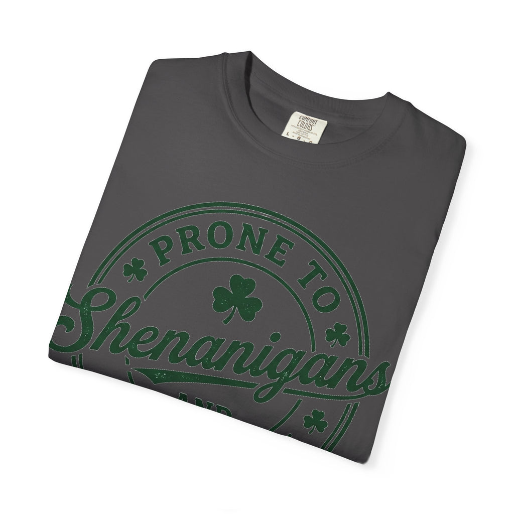 Prone To Shenanigans And Malarkey Shirt, St Patricks Day Badge Tee, Funny Irish Shirt, Paddys Day Gift