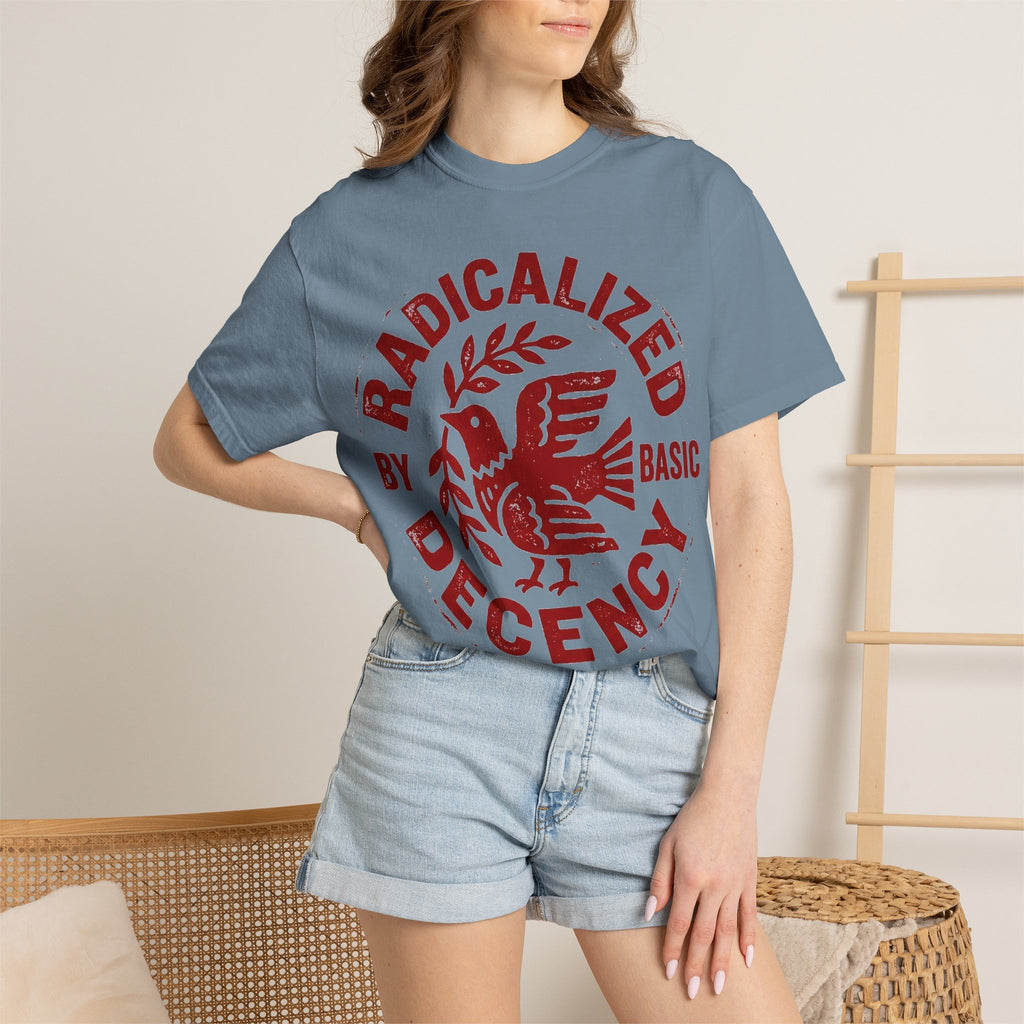 Radicalized By Basic Decency Shirt, Folk Art Dove Stamp Tee, Kindness Activist Shirt, Protest Gift