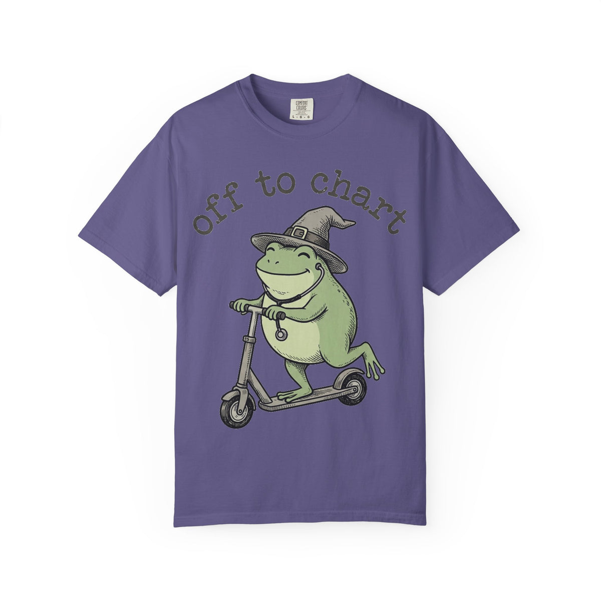 Off To Chart Shirt, Funny Witch Frog Nurse Tee, Charting Nurse Scooter Shirt, RN Gift