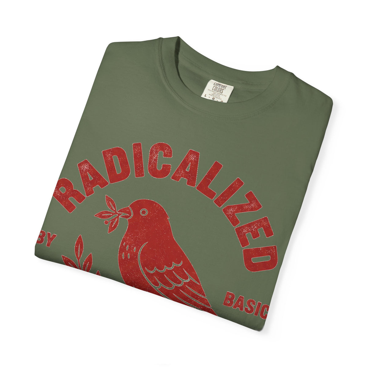 Radicalized By Basic Decency Arched Shirt, Red Folk Bird Tee, Kindness Statement Shirt, Activist Gift