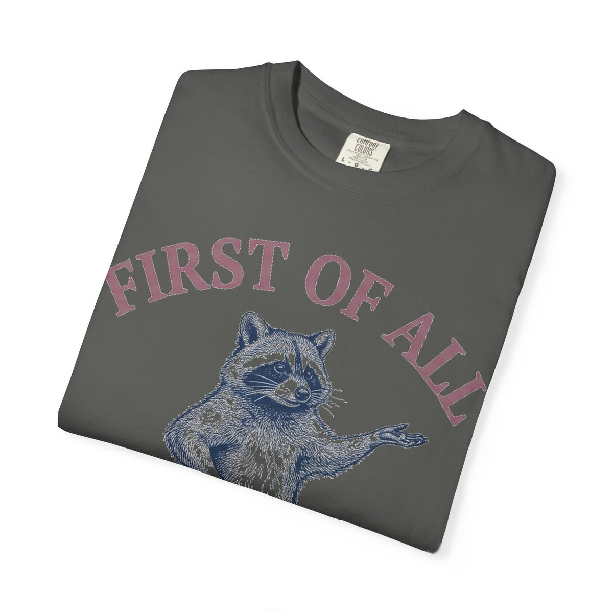 First Of All I'm A Delight Shirt, Funny Raccoon Tee, Sassy Vintage Engraving Shirt, Sarcastic Gift