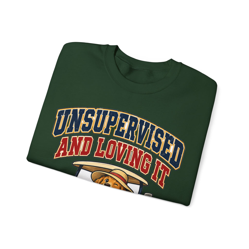 funny retirement Sweatshirt Unsupervised And Loving It Sweatshirt, Funny Graphic Sweatshirt,