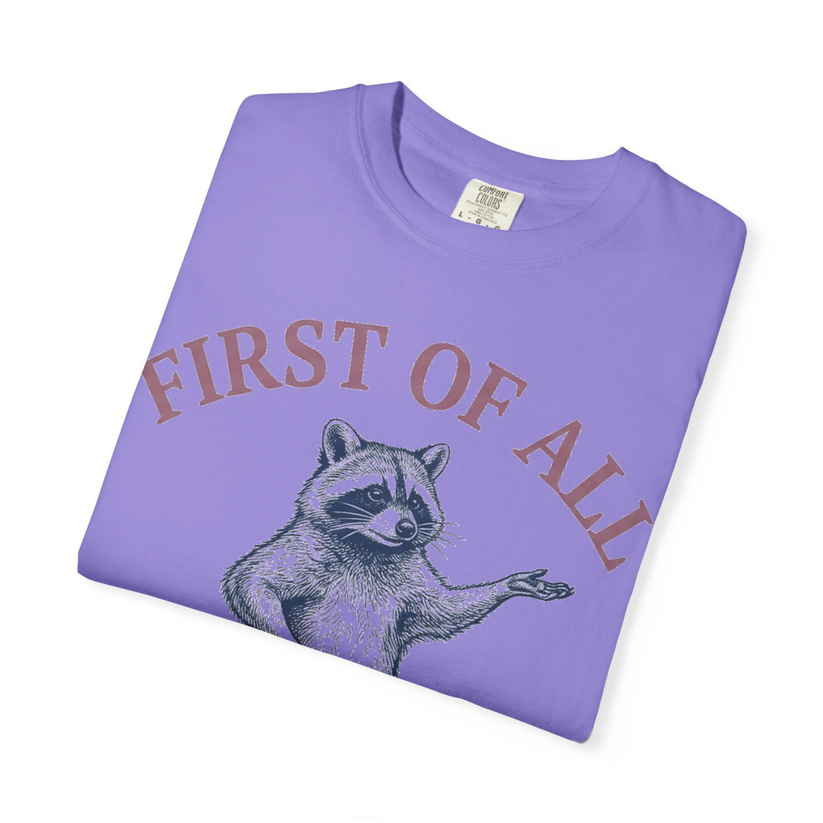 First Of All I'm A Delight Shirt, Funny Raccoon Tee, Sassy Vintage Engraving Shirt, Sarcastic Gift