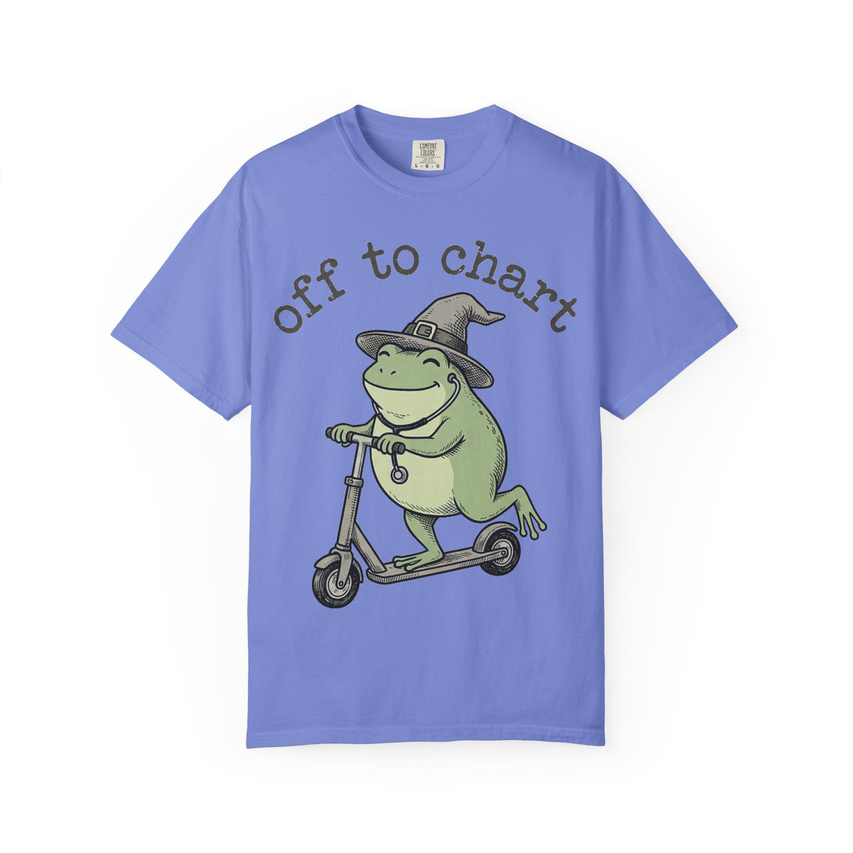 Off To Chart Shirt, Funny Witch Frog Nurse Tee, Charting Nurse Scooter Shirt, RN Gift