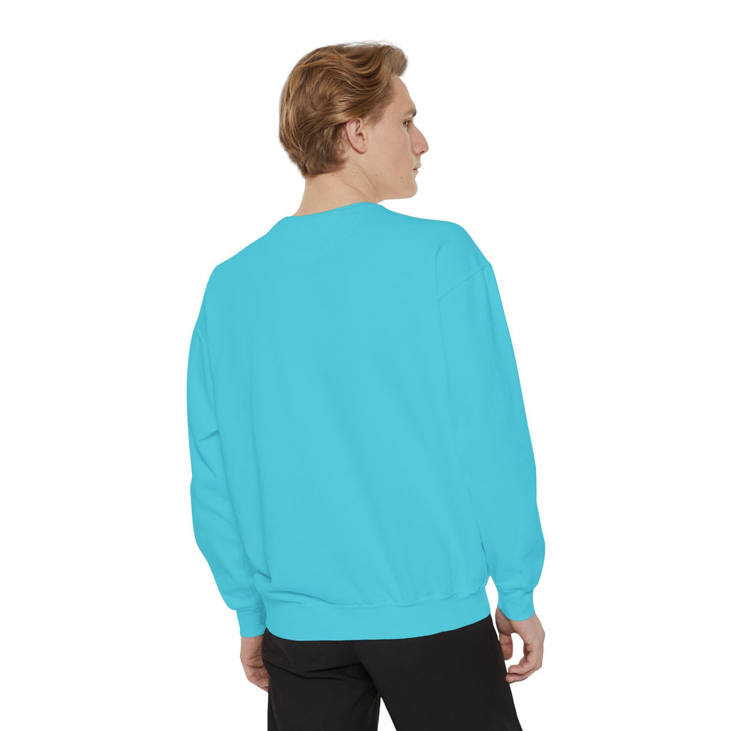 Orange Cat Behavior Sweatshirt — Cute Ginger Kitty Graphic Pullover