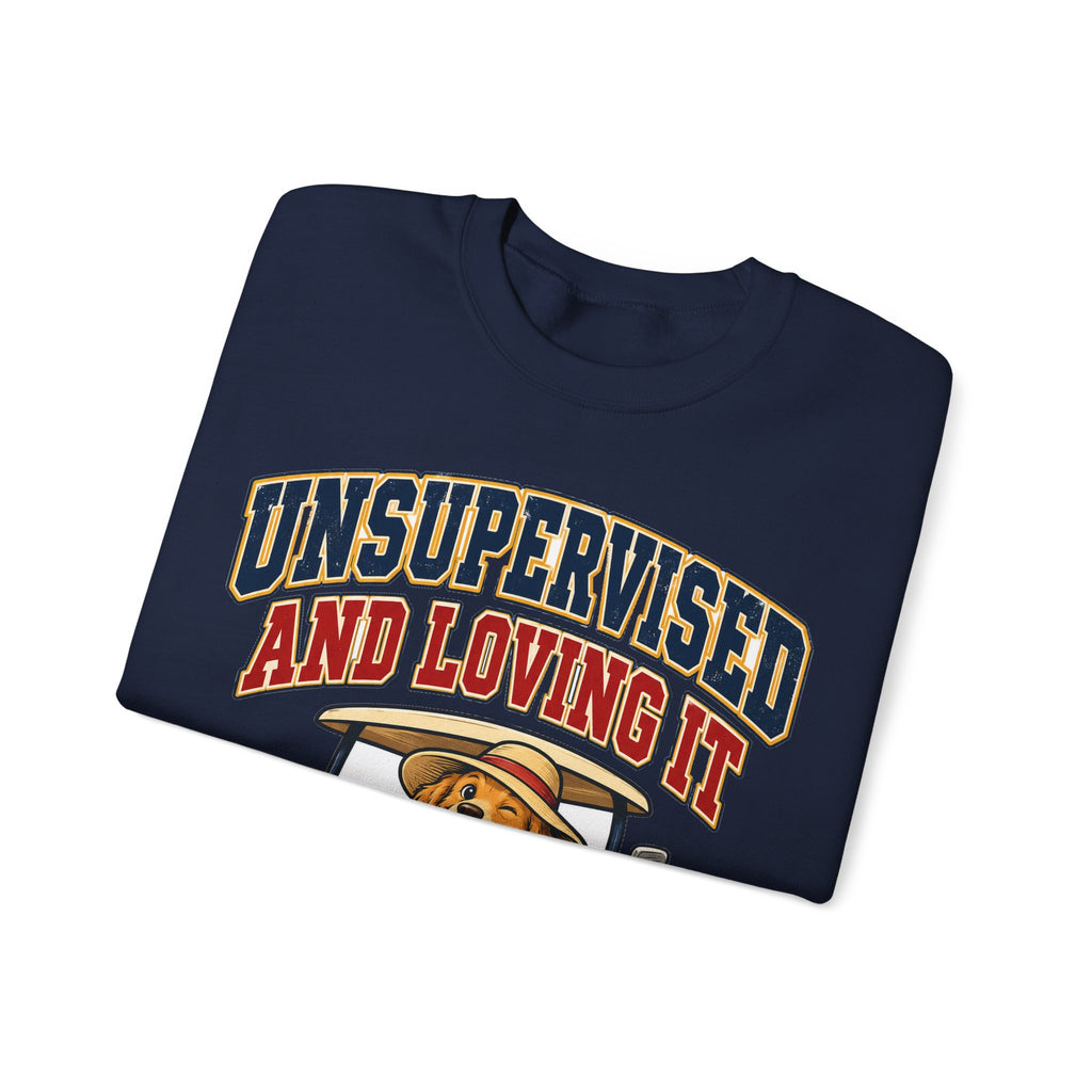 funny retirement Sweatshirt Unsupervised And Loving It Sweatshirt, Funny Graphic Sweatshirt,