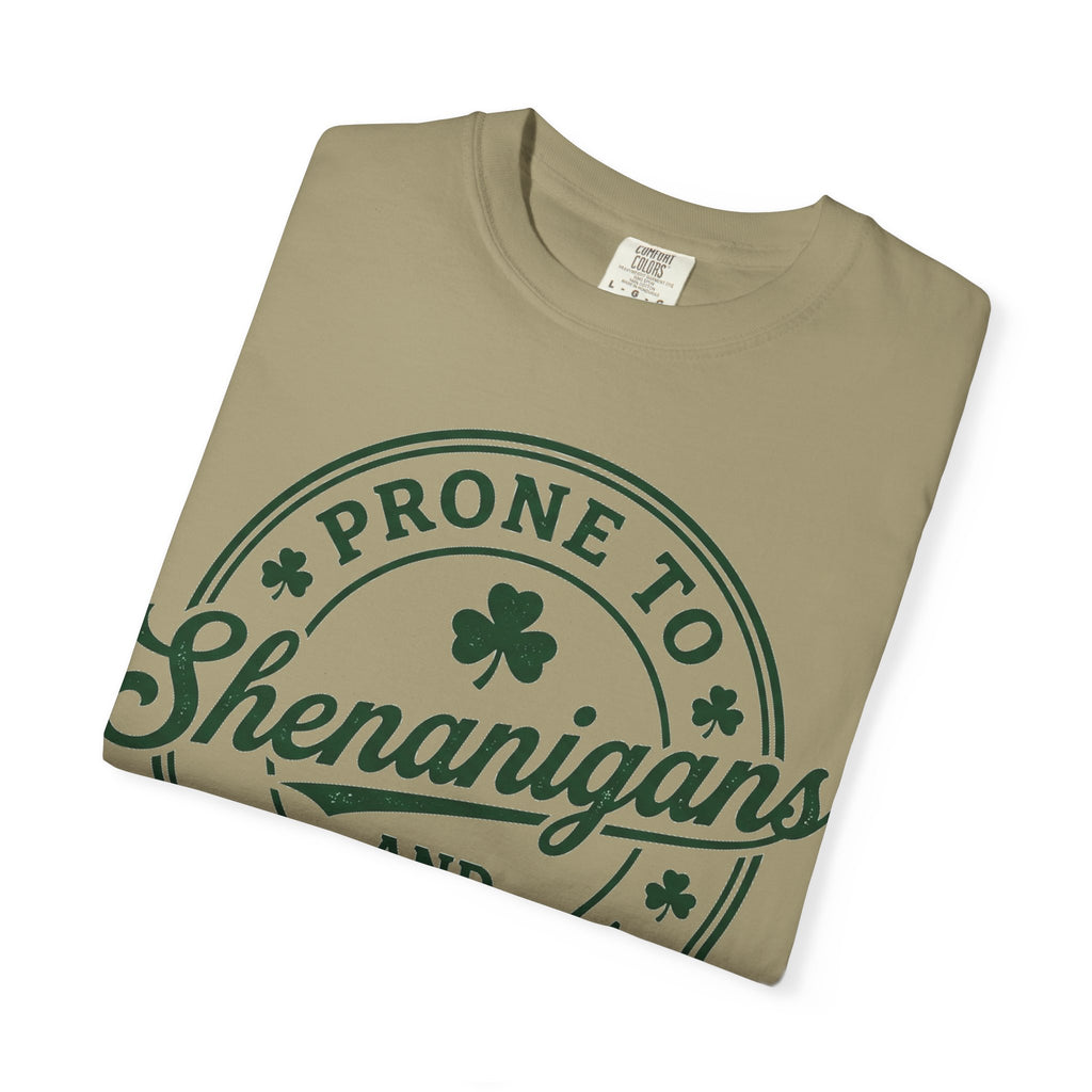 Prone To Shenanigans And Malarkey Shirt, St Patricks Day Badge Tee, Funny Irish Shirt, Paddys Day Gift