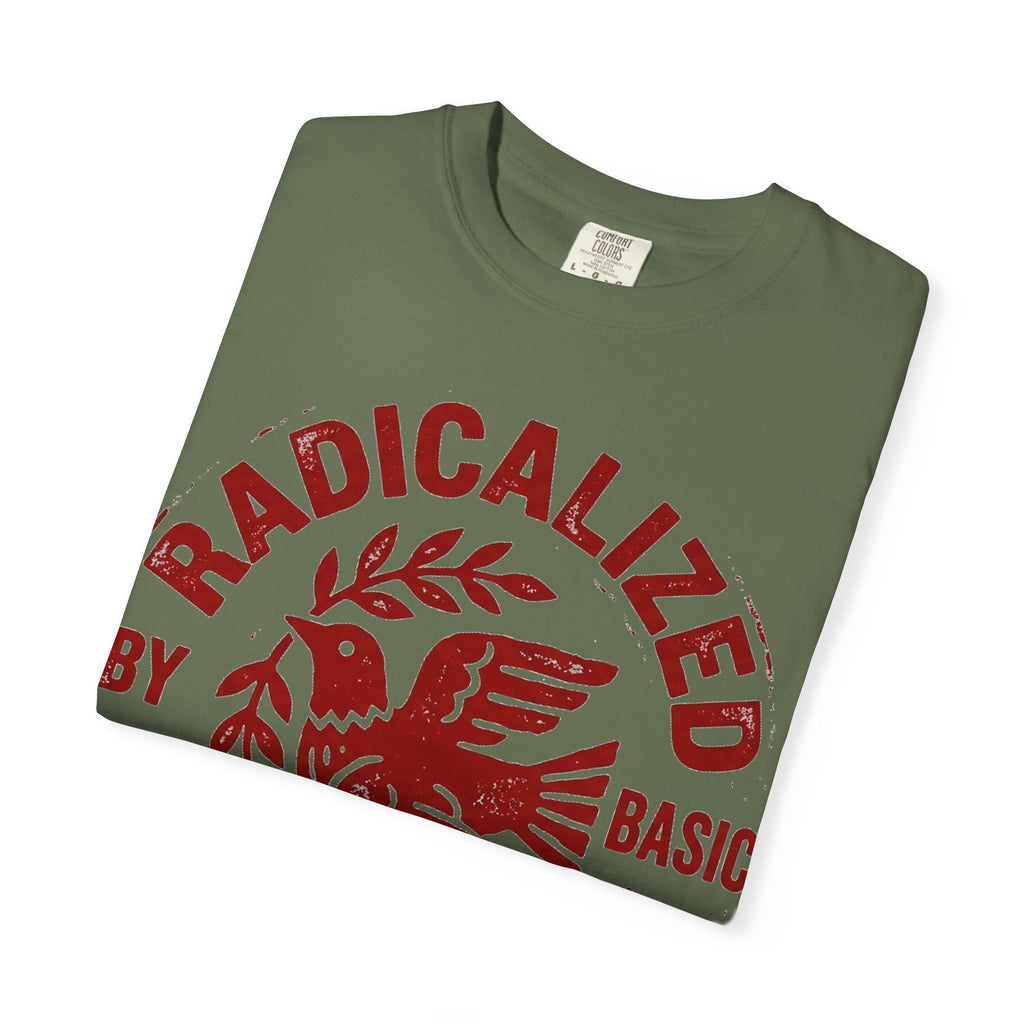 Radicalized By Basic Decency Shirt, Folk Art Dove Stamp Tee, Kindness Activist Shirt, Protest Gift