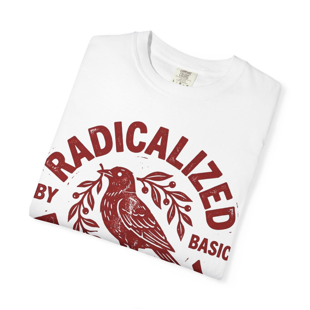 Radicalized By Basic Decency Red Bird Shirt, Folk Stamp Activist Tee, Kindness Protest Shirt, Ally Gift