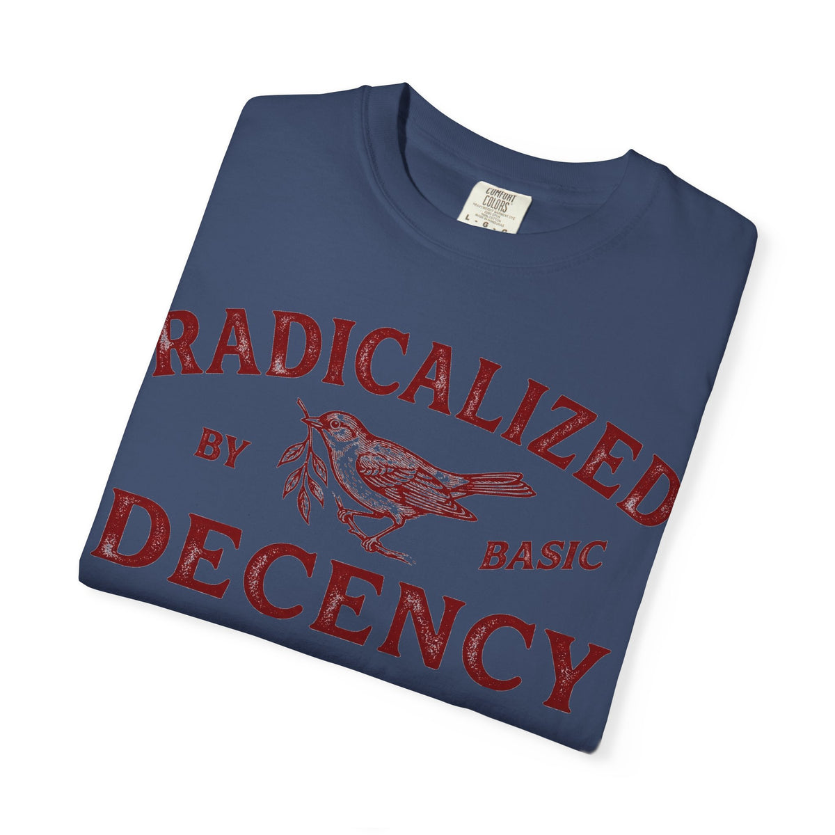 Radicalized By Basic Decency Bold Shirt, Engraved Bird Typography Tee, Kindness Statement Shirt, Protest Gift
