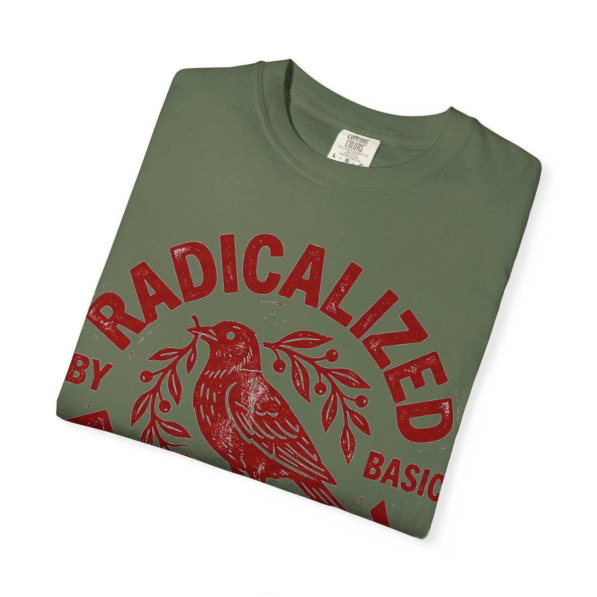 Radicalized By Basic Decency Red Bird Shirt, Folk Stamp Activist Tee, Kindness Protest Shirt, Ally Gift