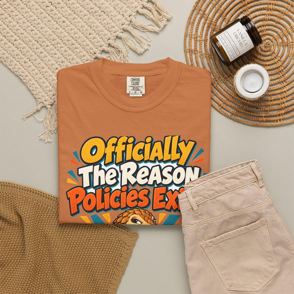 Funny Coworker Shirt Officially The Reason Policies Exist Shirt, Funny Coworker Gift, Christmas Gift, Funny Shirt