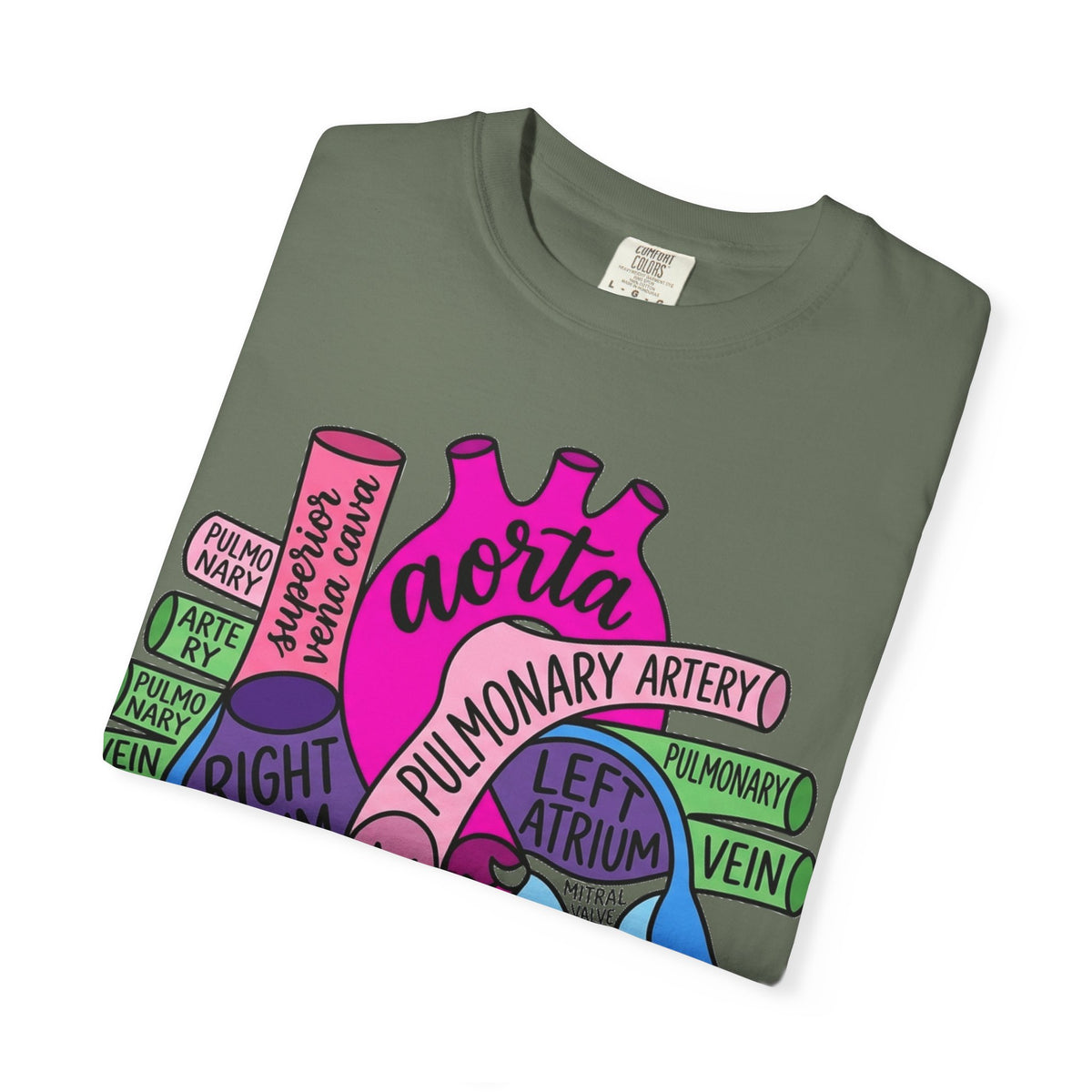 Anatomical Heart Diagram Shirt, Labelled Cardiac Anatomy Tee, Cardiology Nurse Shirt, Med Student Gift