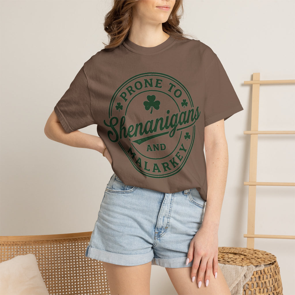 Prone To Shenanigans And Malarkey Shirt, St Patricks Day Badge Tee, Funny Irish Shirt, Paddys Day Gift