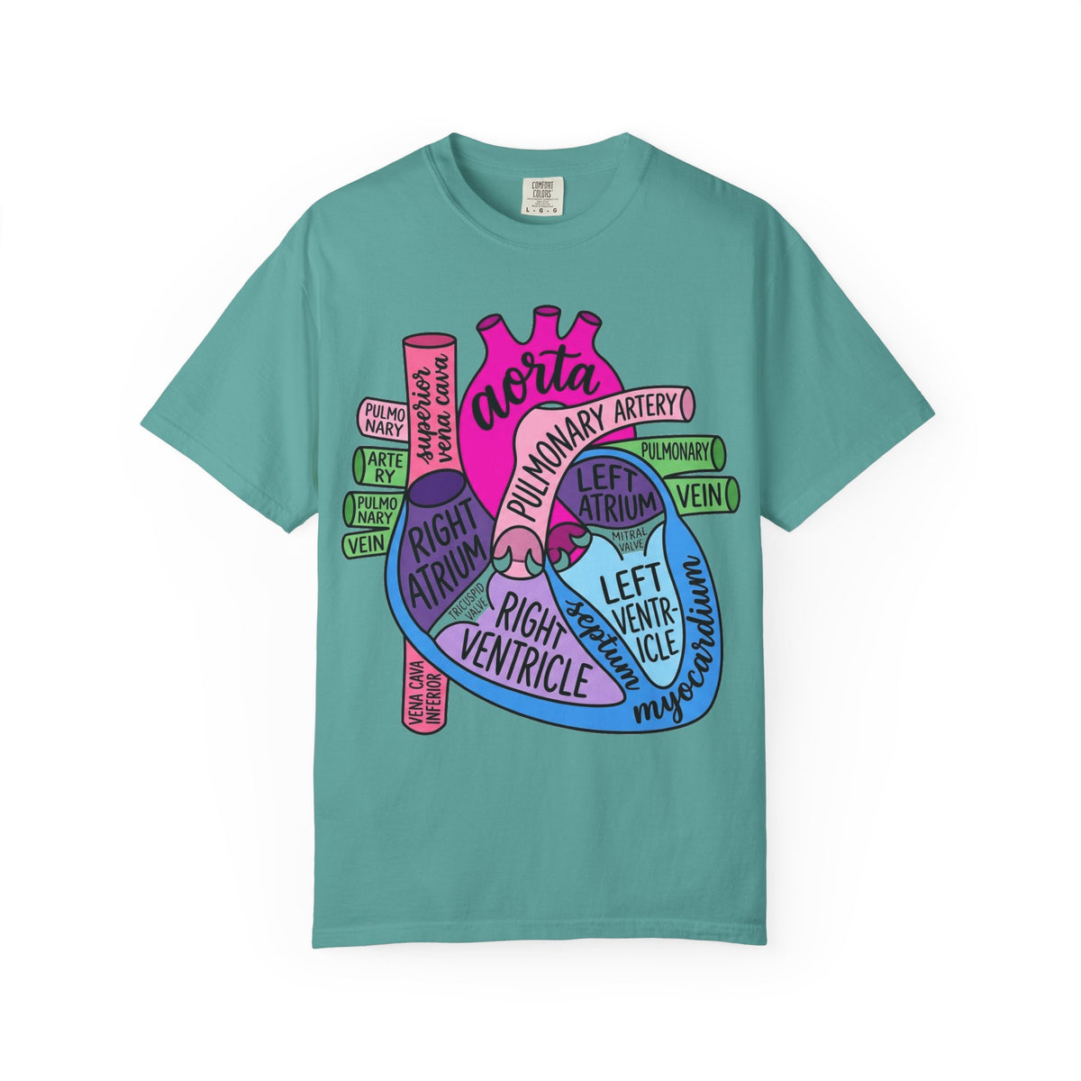 Anatomical Heart Diagram Shirt, Labelled Cardiac Anatomy Tee, Cardiology Nurse Shirt, Med Student Gift