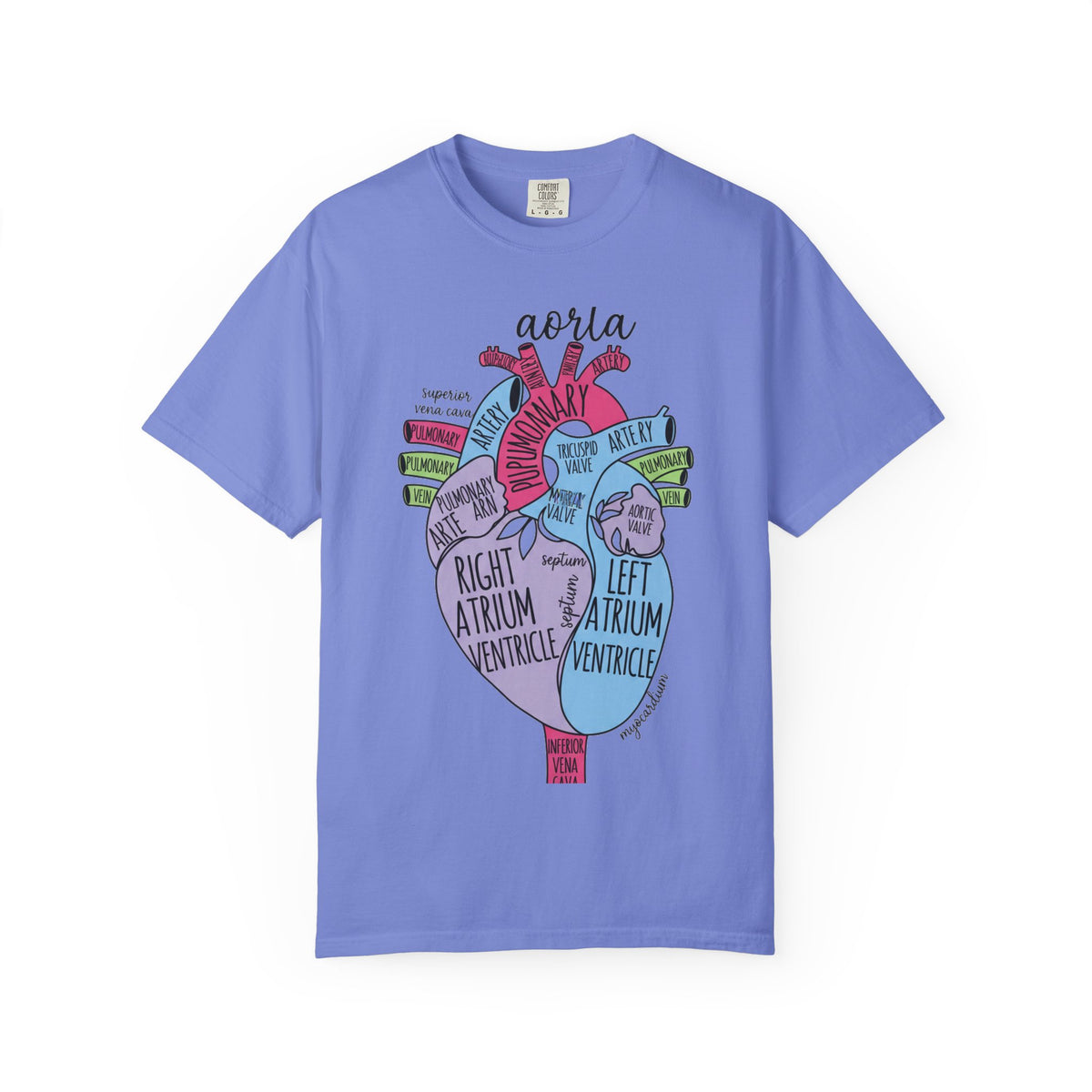 Labelled Heart Anatomy Shirt, Pastel Cardiac Diagram Tee, Nursing School Shirt, Cardiology Gift
