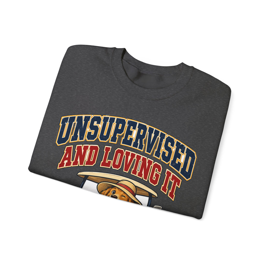 funny retirement Sweatshirt Unsupervised And Loving It Sweatshirt, Funny Graphic Sweatshirt,