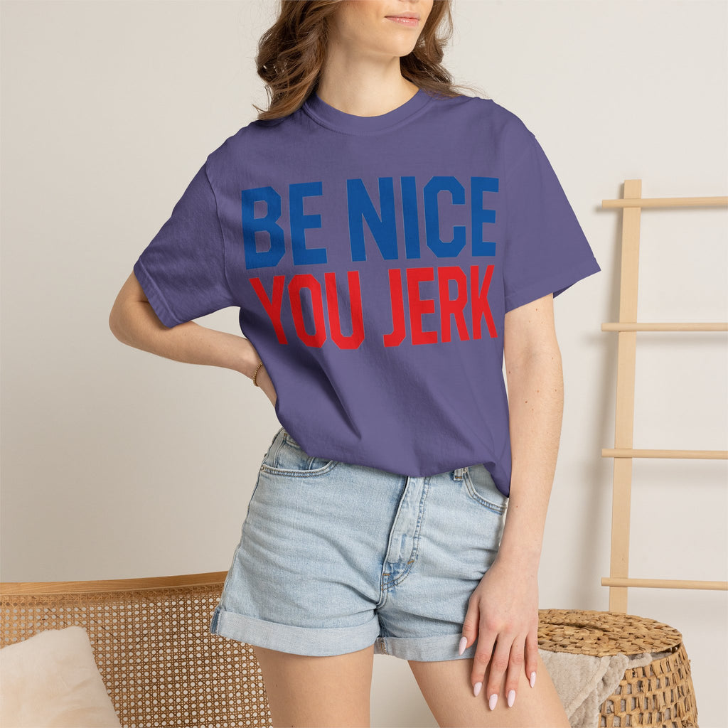 Be Nice You Jerk Shirt, Funny Sarcastic Quote Tee, Bold Retro Typography Shirt, Snarky Gift