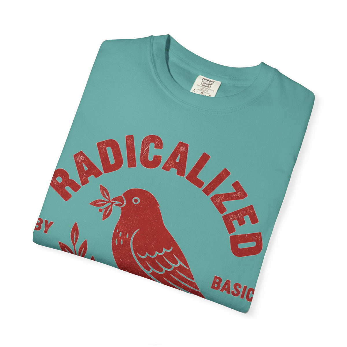 Radicalized By Basic Decency Arched Shirt, Red Folk Bird Tee, Kindness Statement Shirt, Activist Gift