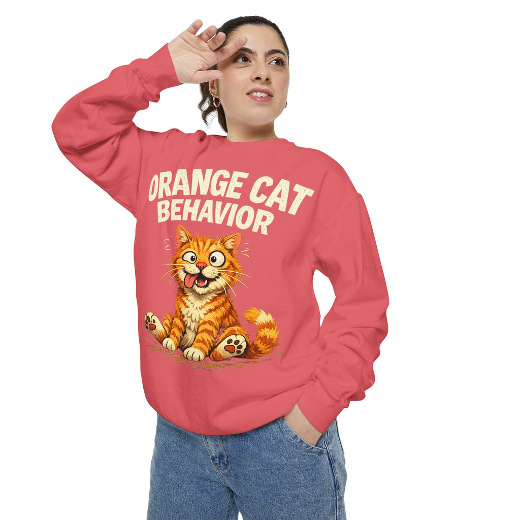 Orange Cat Behavior Sweatshirt — Cute Ginger Kitty Graphic Pullover