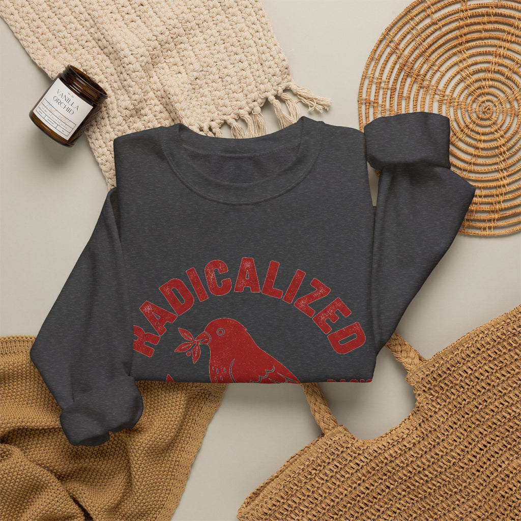 Radicalized By Basic Decency Sweatshirt, Vintage Bird Badge Political Sweatshirt, Progressive Kindness Sweatshirt, Liberal Gift, Retro Activ