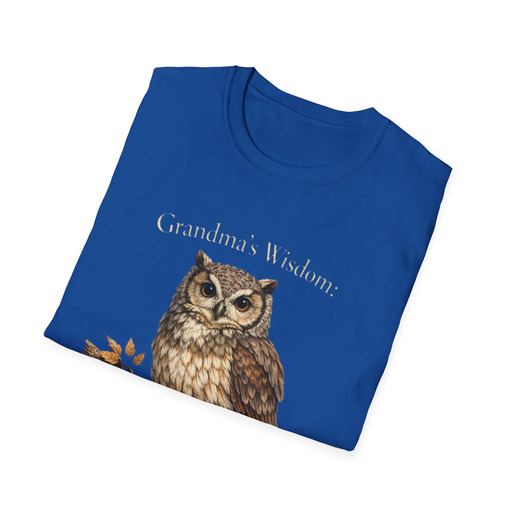 Grandma's Wisdom Priceless Shirt, Wise Owl Grandmother Tee, Nana Gift