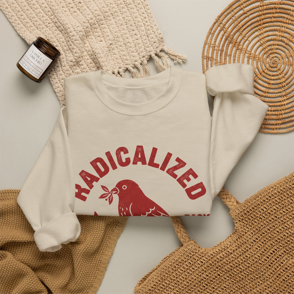 Radicalized By Basic Decency Sweatshirt, Vintage Bird Badge Political Sweatshirt, Progressive Kindness Sweatshirt, Liberal Gift, Retro Activ