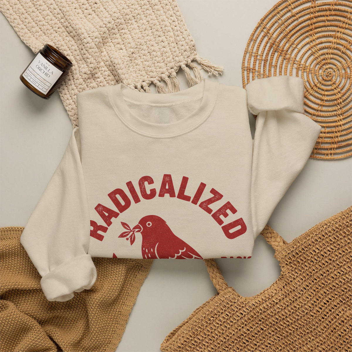 Radicalized By Basic Decency Sweatshirt, Vintage Bird Badge Political Sweatshirt, Progressive Kindness Sweatshirt, Liberal Gift, Retro Activ