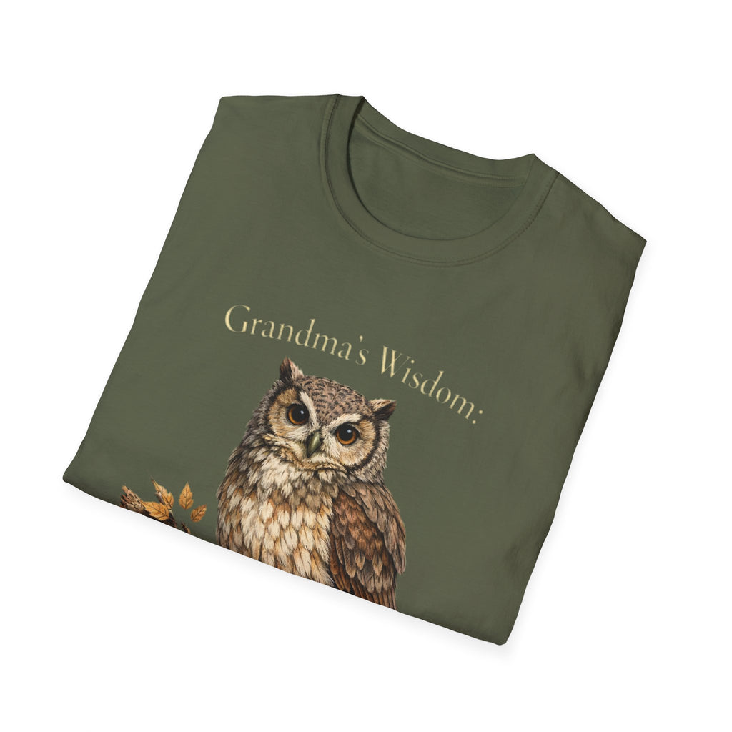 Grandma's Wisdom Priceless Shirt, Wise Owl Grandmother Tee, Nana Gift